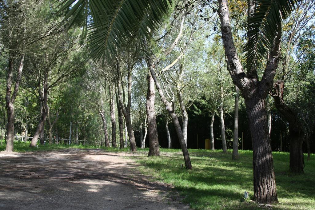 Bungalows Y Glamping Medina Sidonia Экстерьер фото